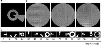 Visual Field Reconstruction in Hemianopia Using fMRI Based Mapping Techniques